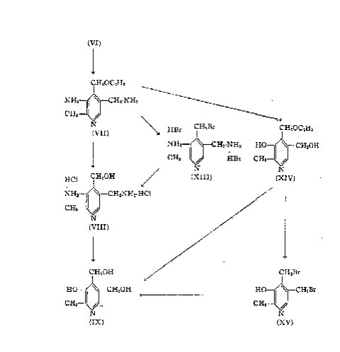 The latter compound upon treatment with tin and hydrochloric acid yields the 