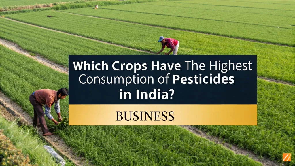 Highest Consumption of Pesticides
