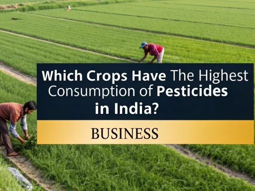 Highest Consumption of Pesticides