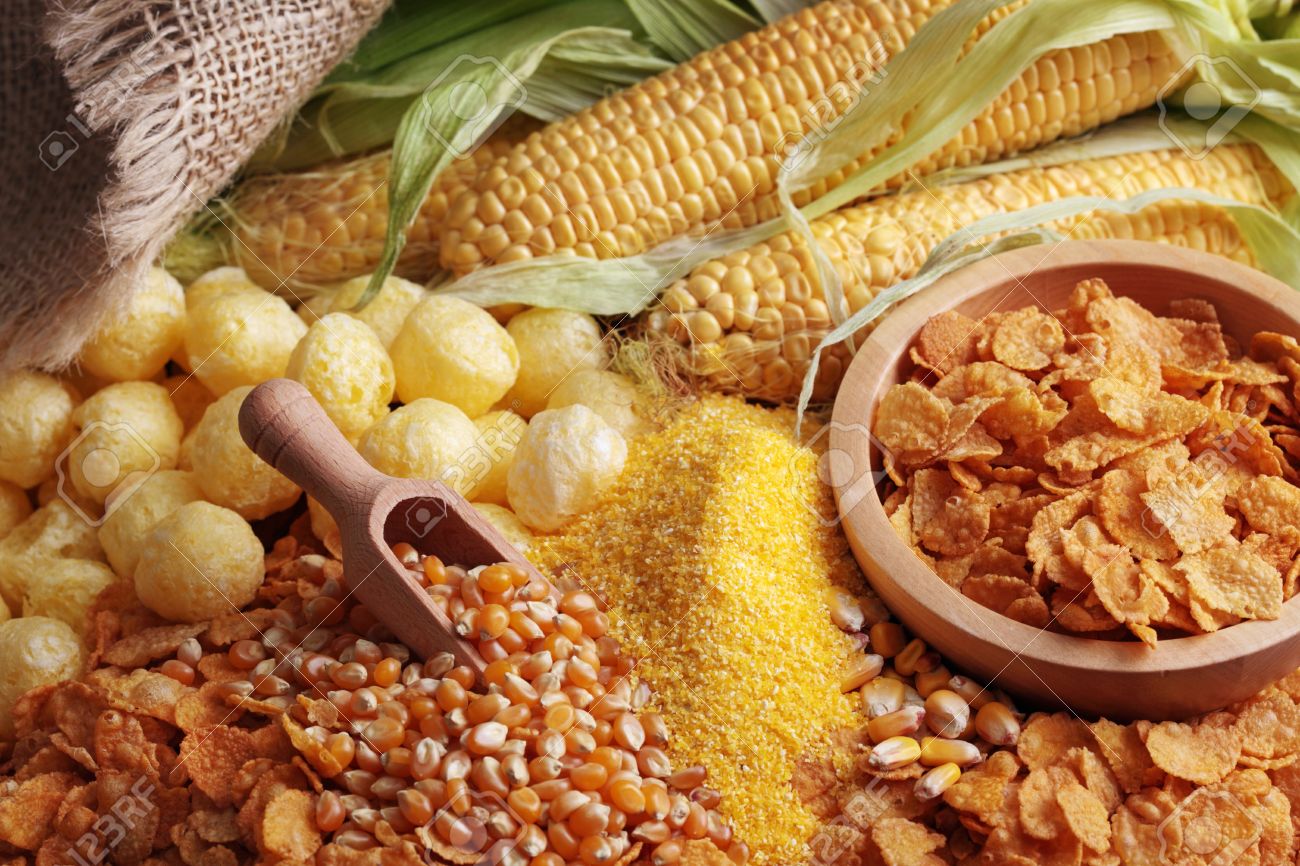starting-a-maize-processing-business-niir-blog