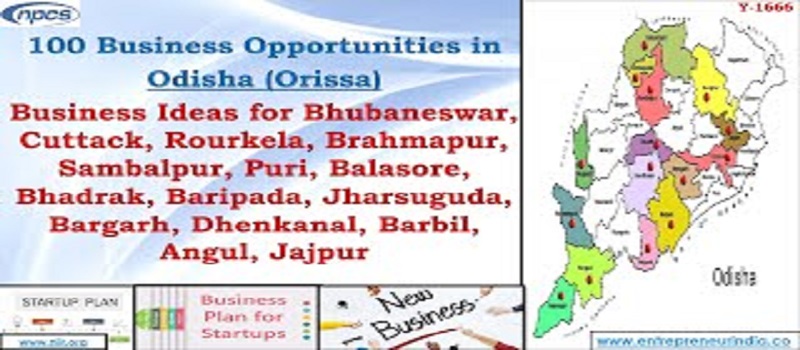 Business Opportunities in Odisha_niir.org