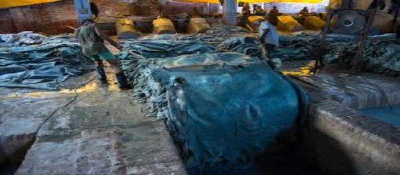 Leather_and_Leather_Products_Industry_niir.org