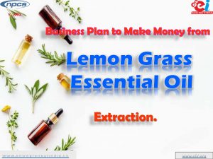 essential oil extraction business plan
