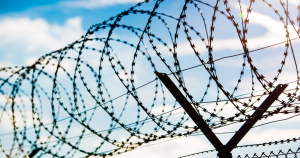 Barbed wire industry hotsell