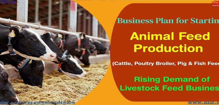 Business Plan for Starting Animal Feed Production