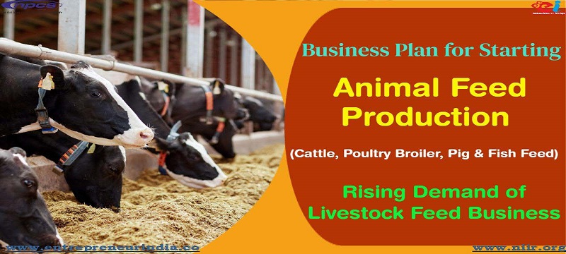 Animal Feed Production