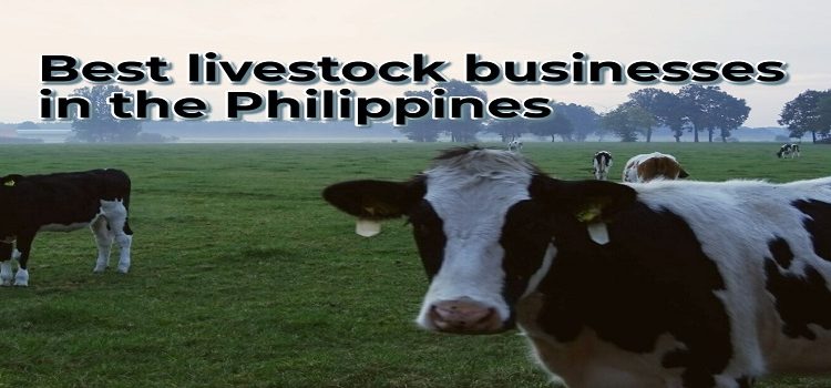 Best Livestock Businesses in The Philippines that you can Start Right Now