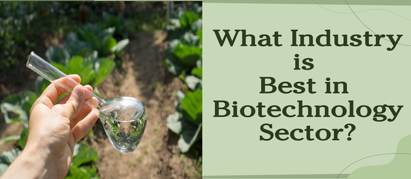 Biotechnology Sector | Niir.org