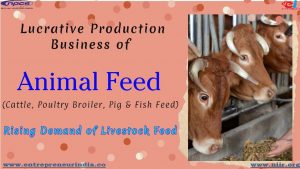 Lucrative Production Business of Animal Feed (Cattle, Poultry Broiler, Pig & Fish Feed). Rising Demand of Livestock Feed. Lucrative Production Business of Animal Feed (Cattle, Poultry Broiler, Pig & Fish Feed). Rising Demand of Livestock Feed.