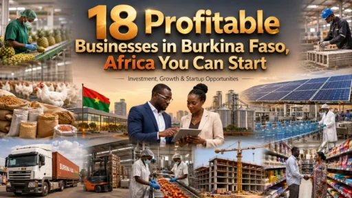 Profitable Businesses in Burkina Faso: 18 Best Investments