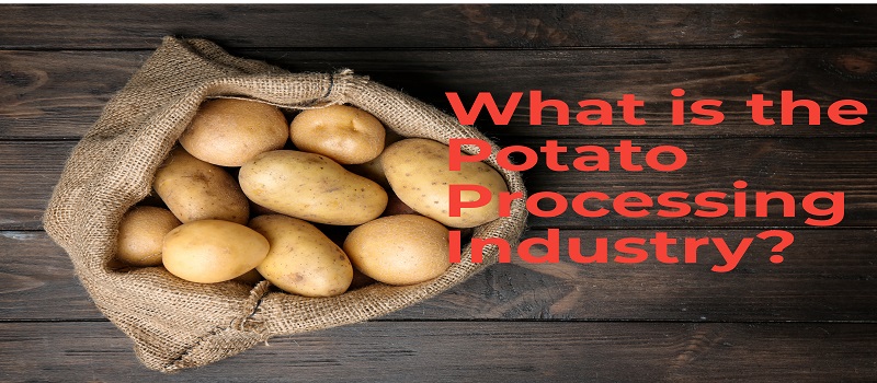 Potato Processing Industry | Niir.org