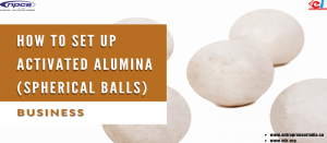 How_to_Set_up_Activated_Alumina_spherical_Balls)_Business_niir.org