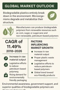 Production Plant of Bio-Degradable Plastic Polymer from Corn