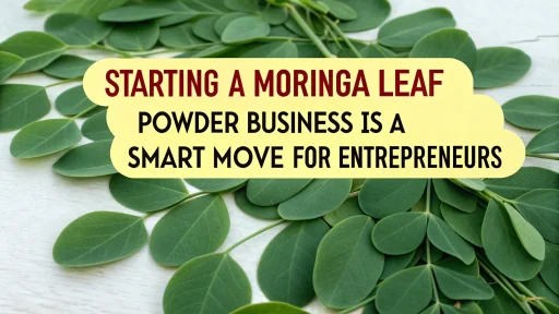 Moringa Leaf Powder business