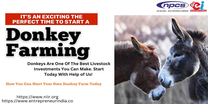 Donkey farming