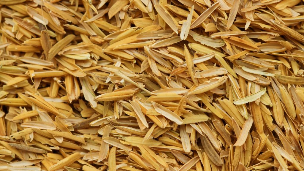 Rice husk