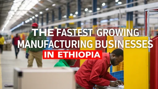 Growing Manufacturing Businesses in Ethiopia