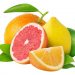 Citrus Fruit Processing: Your Ultimate Entrepreneur’s Guide