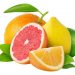 business plan for cleaning chemicals Citrus Fruit Processing: Your Ultimate Entrepreneur’s Guide