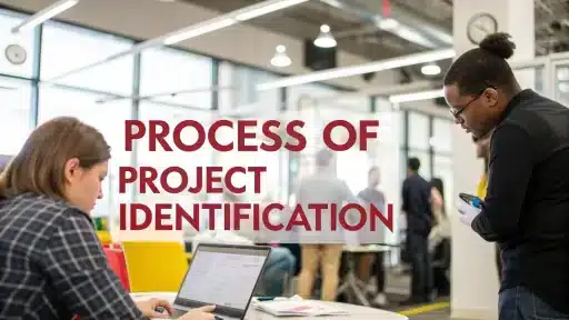Project Identification