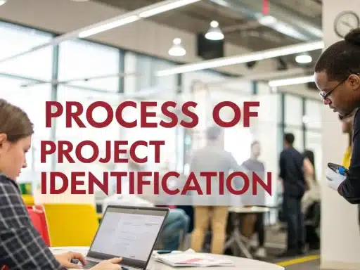 Project Identification