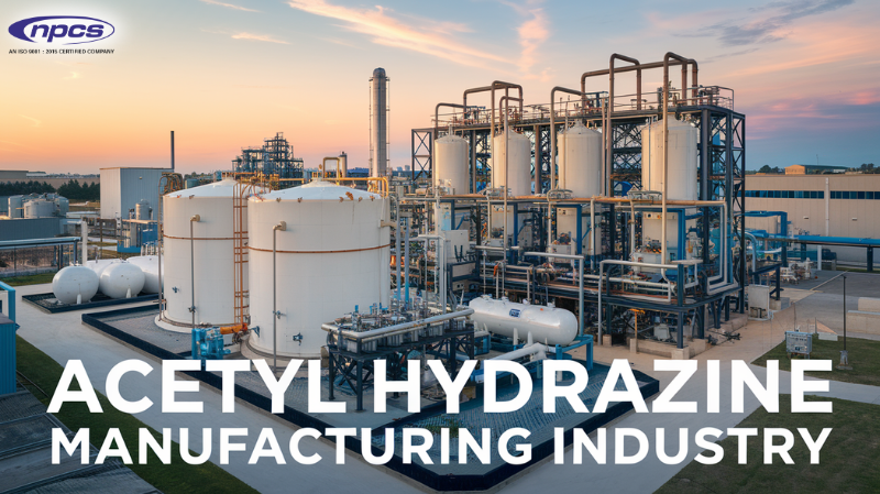 Acetyl Hydrazine Manufacturing Business