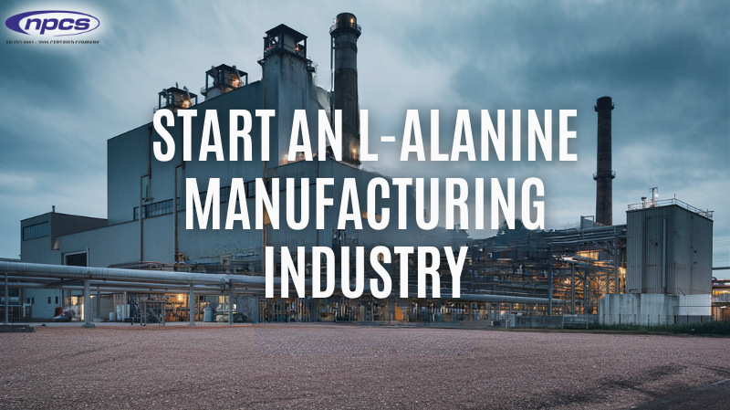 How to Start an L-Alanine Manufacturing Business