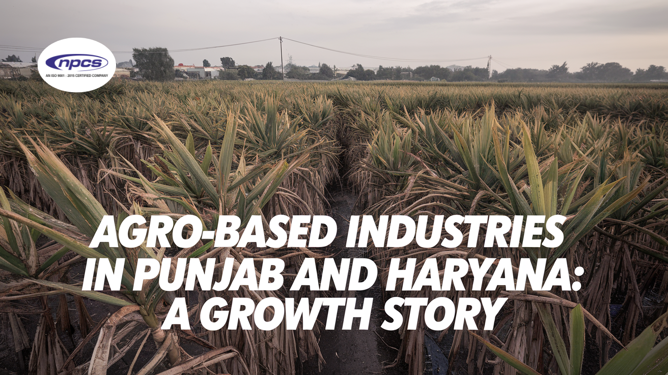 agro-based industries in Punjab and Haryana 