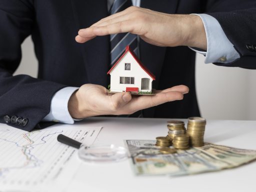 NRI Investment in India