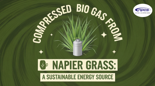 Illustration featuring Napier grass with a gas cylinder in front, promoting compressed biogas as a sustainable energy source. Green-themed design.