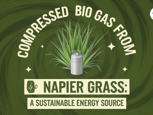 Illustration featuring Napier grass with a gas cylinder in front, promoting compressed biogas as a sustainable energy source. Green-themed design.