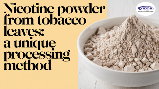 A bowl filled with finely ground nicotine powder, with text overlay reading "Nicotine powder from tobacco leaves: a unique processing method" on a beige background. The NPCS logo is visible in the top right corner.