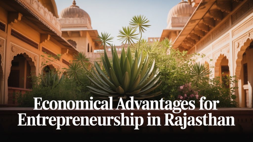 Entrepreneurship in Rajasthan