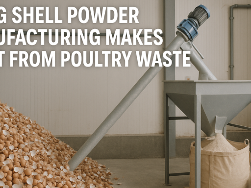 egg shell powder manufacturing