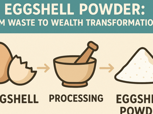 egg shell powder