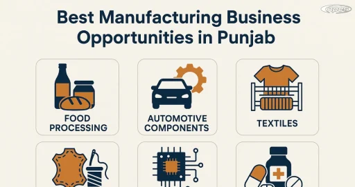 manufacturing business in Punjab