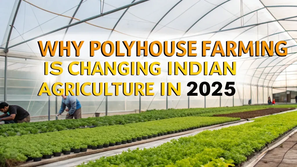 polyhouse farming