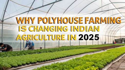 polyhouse farming