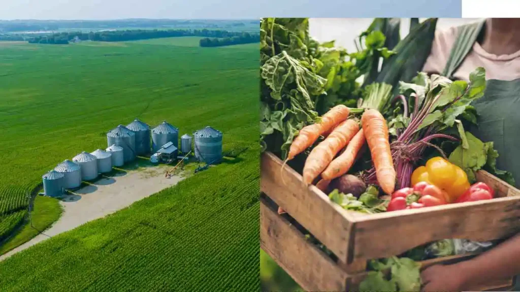 Agro food processing