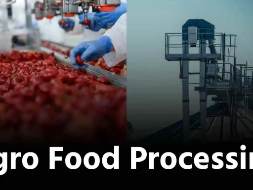 Agro food processing