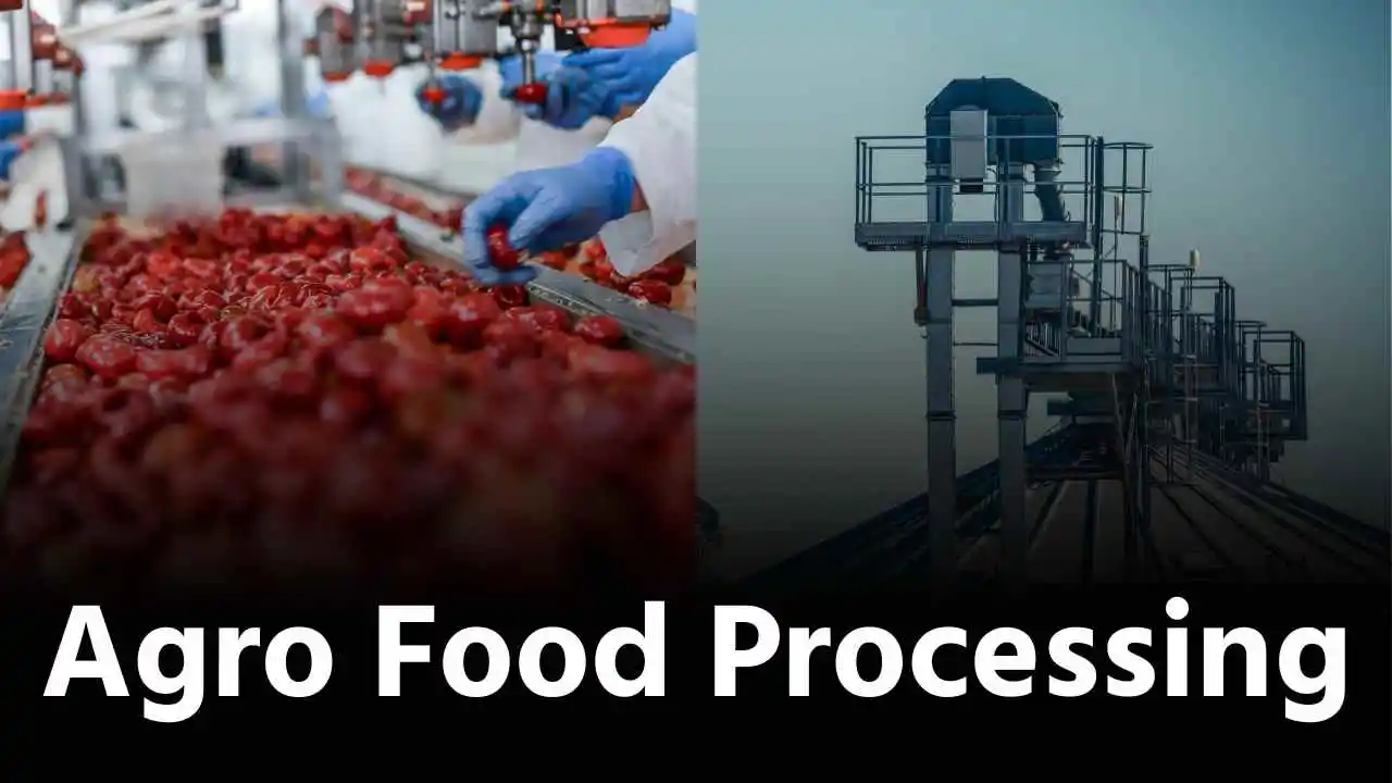 Agro food processing