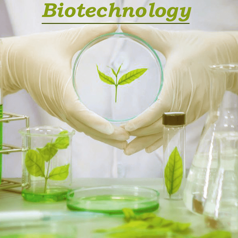 Biotechnology manufacturing opportunities in India.