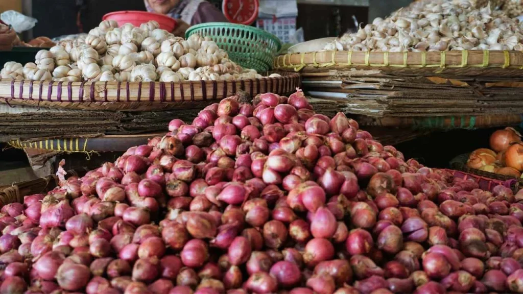 Onion Business