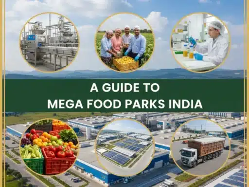 Mega Food Parks India