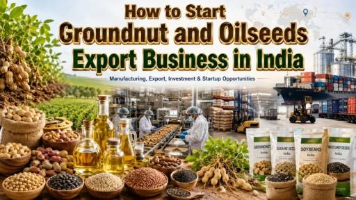 Groundnut and Oilseeds Export Business in India: Investment