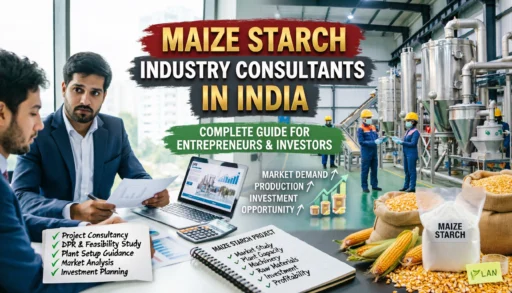 Maize Starch Industry Consultants in India: Complete Guide