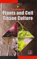 Handbook on Plants and Cell Tissue Culture