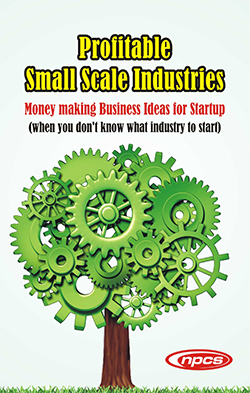 Profitable Small Scale Industries- Money making Business Ideas for Startup (when you don’t know what industry to start)-2nd  Revised Edition