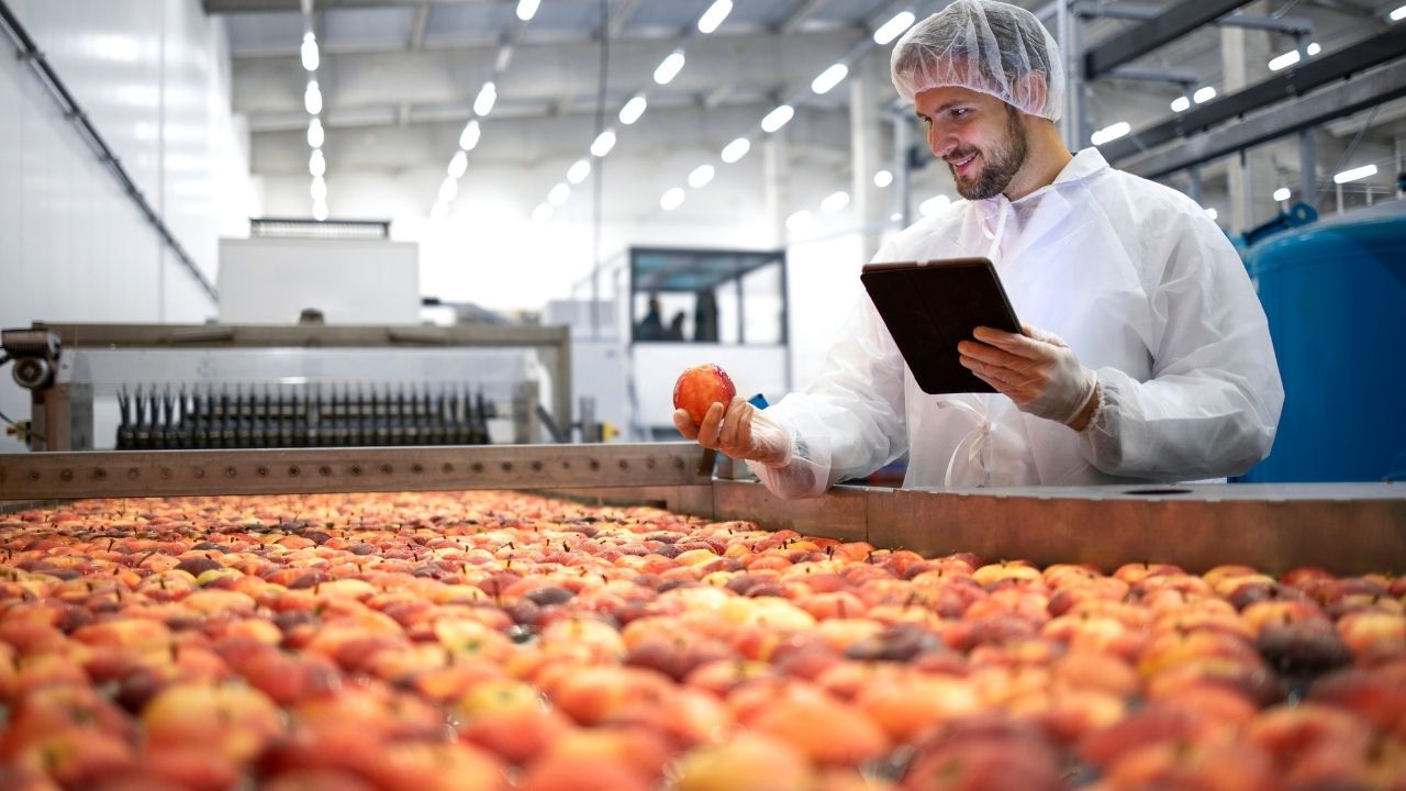 Food Processing, Food Industry, Agriculture, Agro Processing, Processed Food, Cereal Food, Fruits, Vegetables, Bakery, Confectionery, Milk, Dairy, Meat, Fisheries, Spices Oils, Fats, Coconut, Tea and Tobacco Based Products