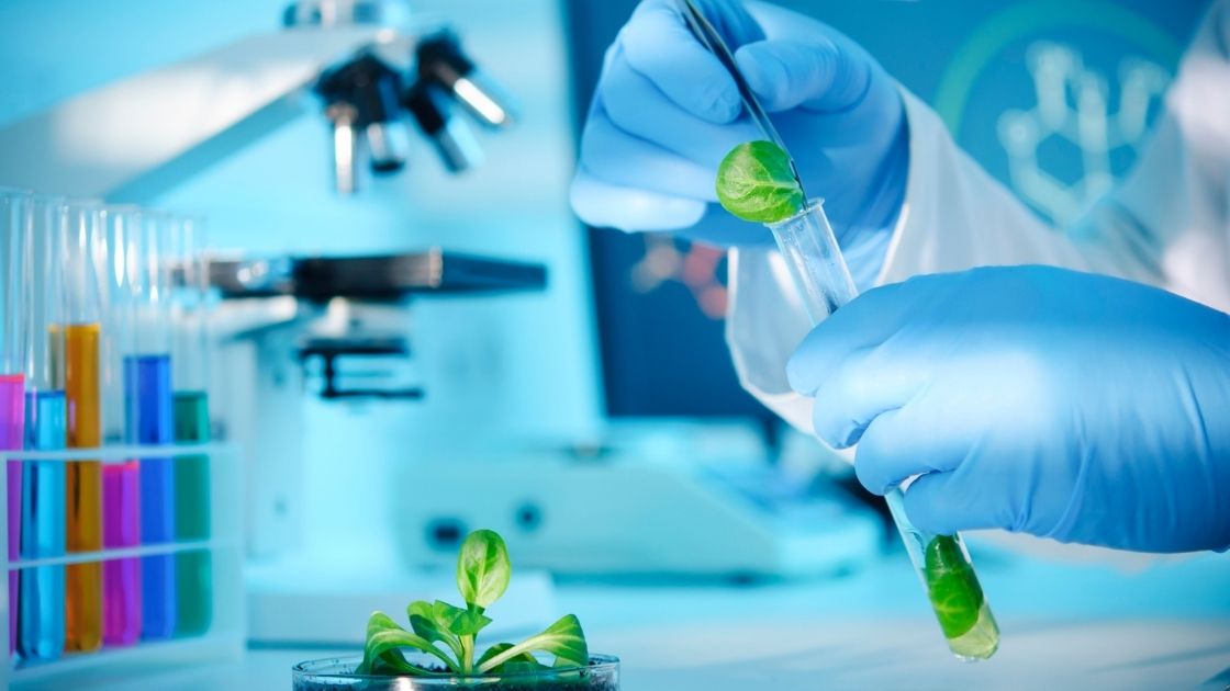  Chemicals, Biotechnology, Enzymes, Bio Fertilizer, Vermiculture, Vermicompost Chemical & Allied Industries and Alcohol Projects